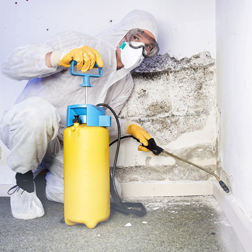 Worker Getting Rid of Mold