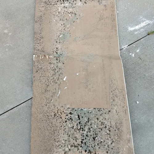 Board with Mold