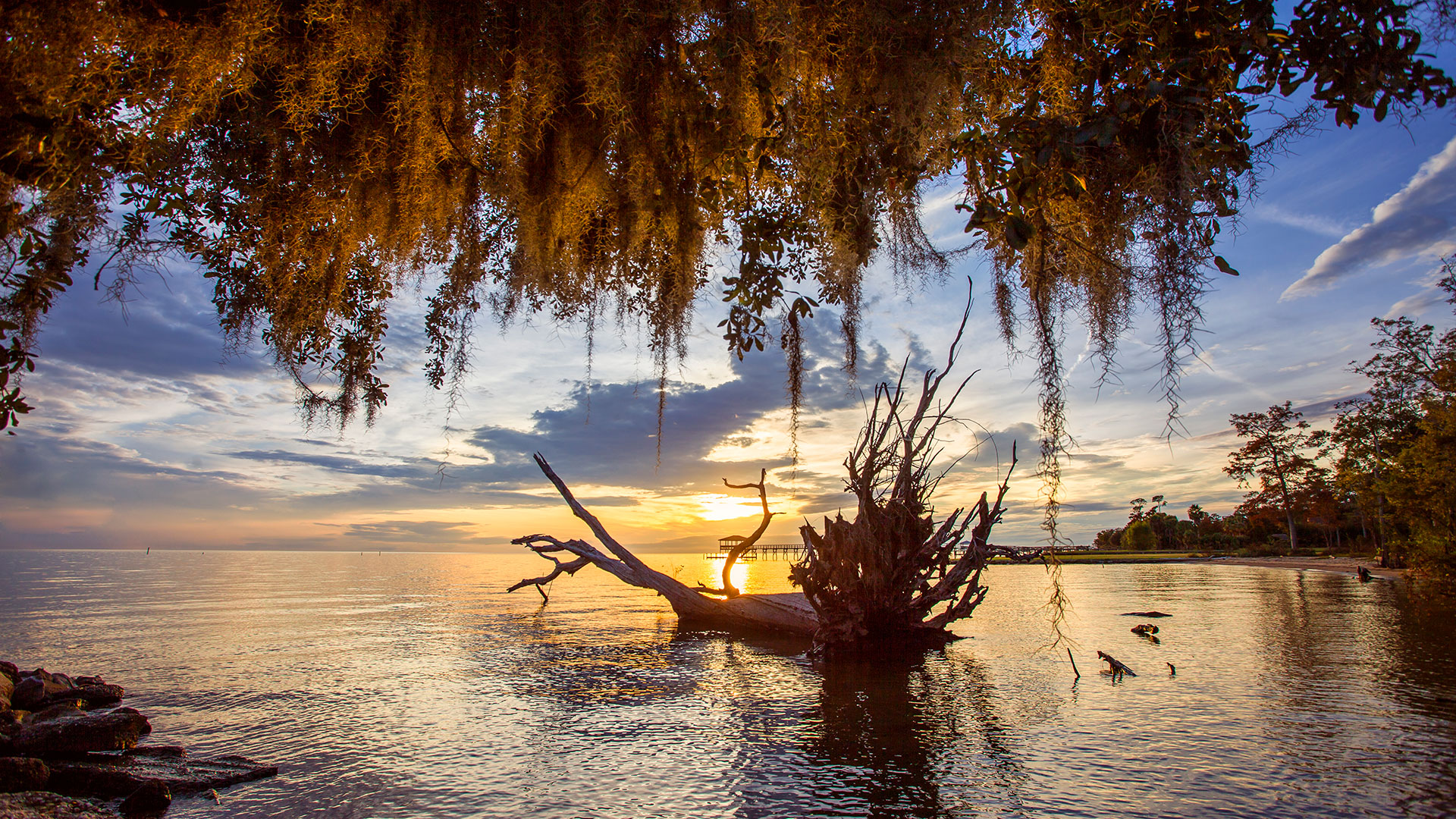 Power Pro Remediation photo 3